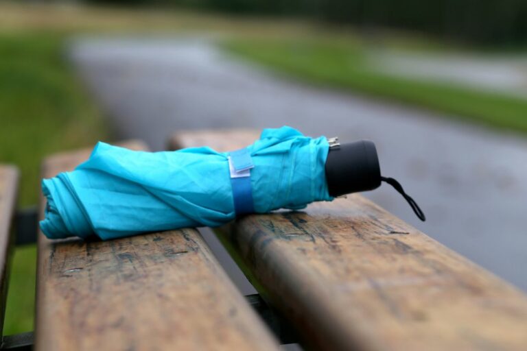 Can You Take An Umbrella On A Plane 